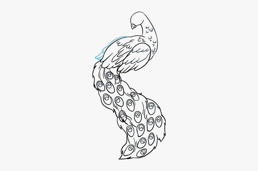 Drawing Turkey Realistic - Drawing Of Peacock Bird, Transparent Clipart