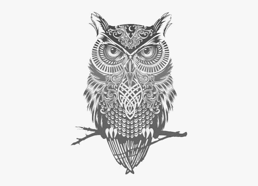 Owl Great Tattoo Flash Idea Horned Clipart - Black And White Owl Drawing, Transparent Clipart