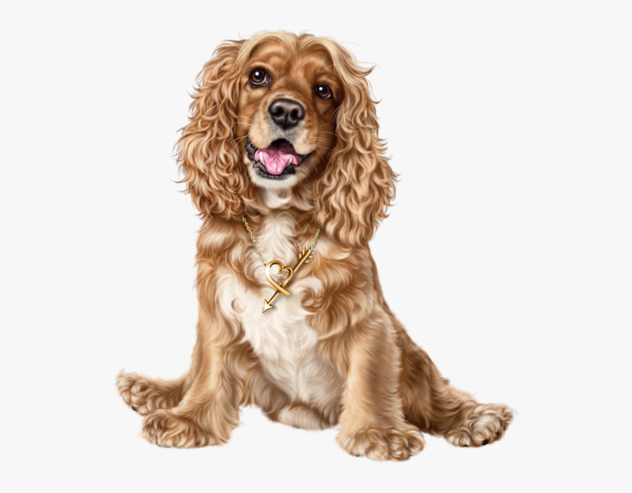Americano Cocker Spaniel Ingles, Transparent Clipart