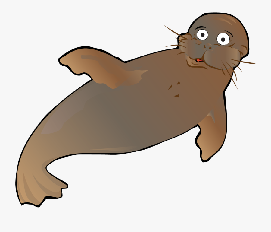 Cartoon Walrus Pics Swimming, Transparent Clipart