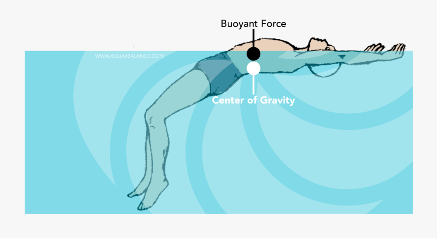 Clip Art Buoyancy In Aqua Balance - Illustration, Transparent Clipart