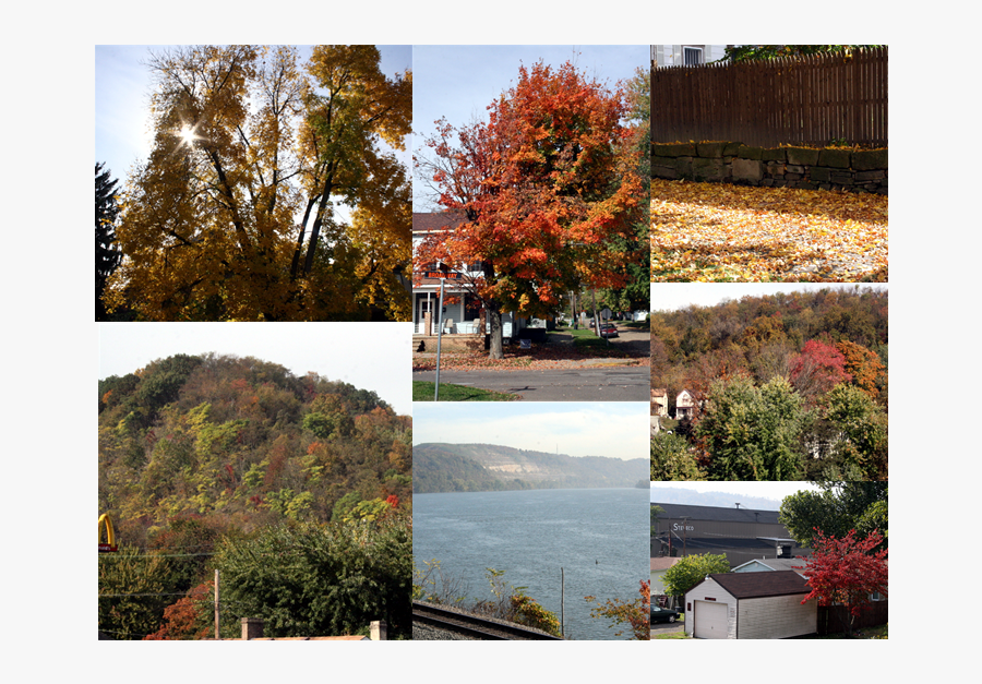 Clip Art Fall Scenes Images - Maple, Transparent Clipart