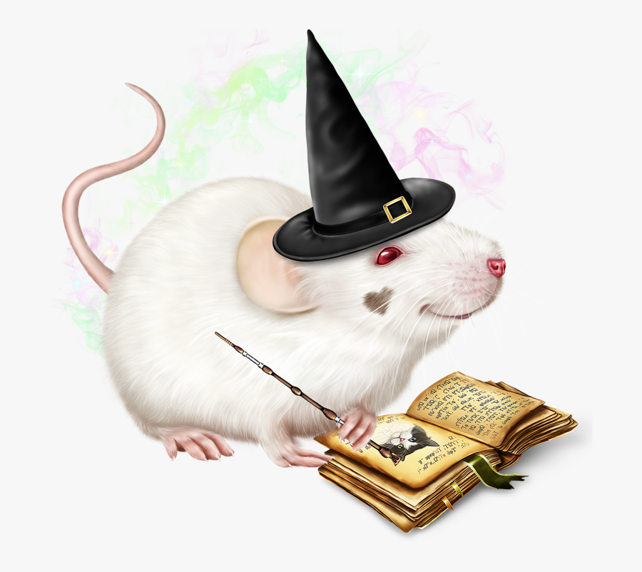 Rat, Transparent Clipart