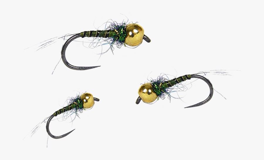 Nymph Wet Flies For - Insect, Transparent Clipart