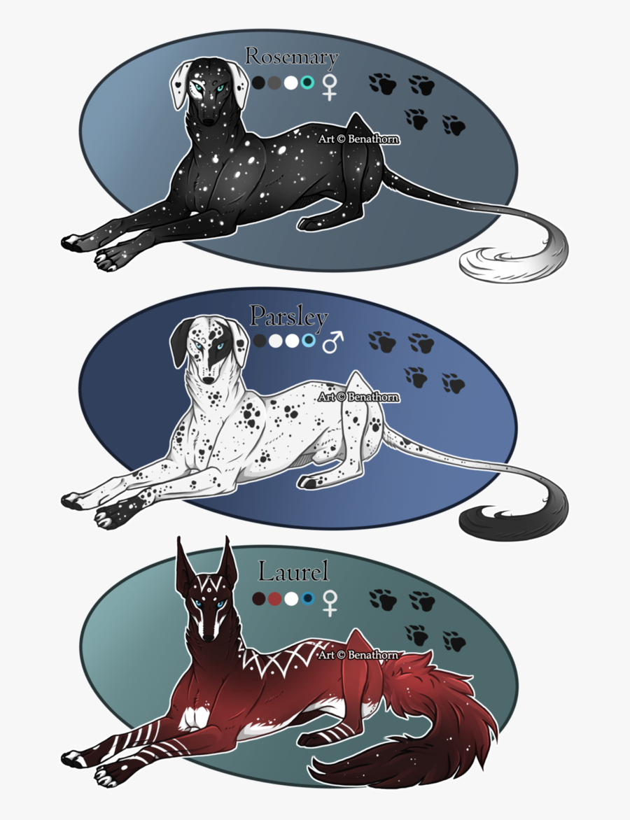 Flo X Nymph Jader - Illustration, Transparent Clipart