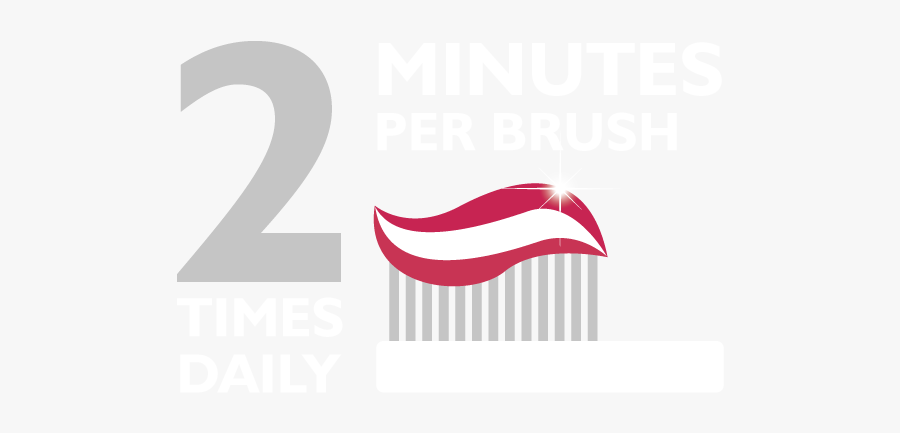 Brush At Least Twice A Day, Transparent Clipart