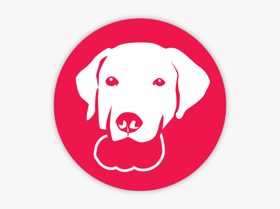 Weimaraner, Transparent Clipart