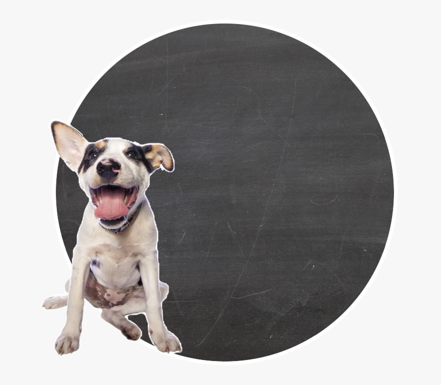 Perro Png, Transparent Clipart