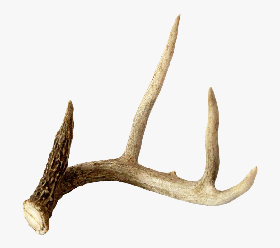 Clip Art Antler Texture - Reindeer, Transparent Clipart