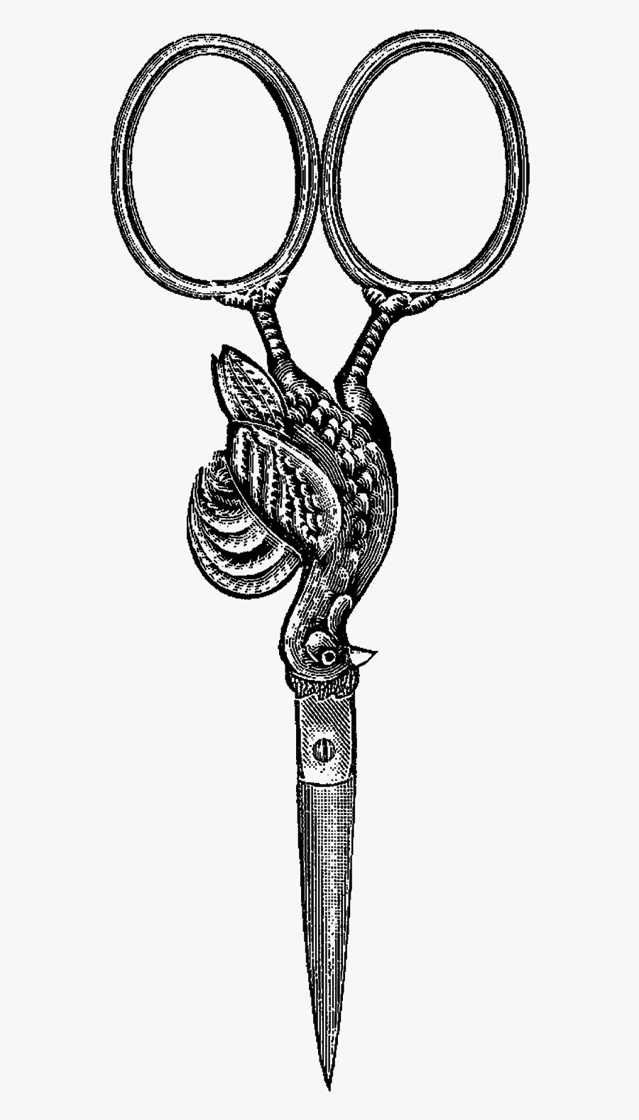 Scissors Stock Image - Illustration, Transparent Clipart