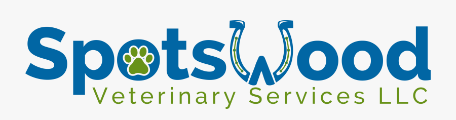 Skywire Networks Logo, Transparent Clipart