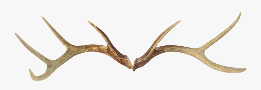 Plywood, Transparent Clipart