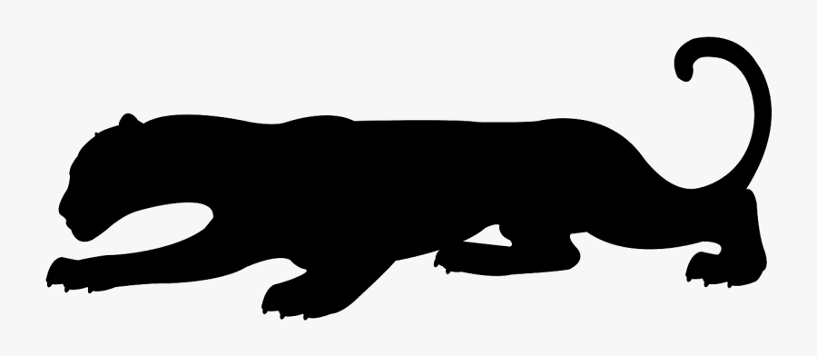 Marine Mammal, Transparent Clipart