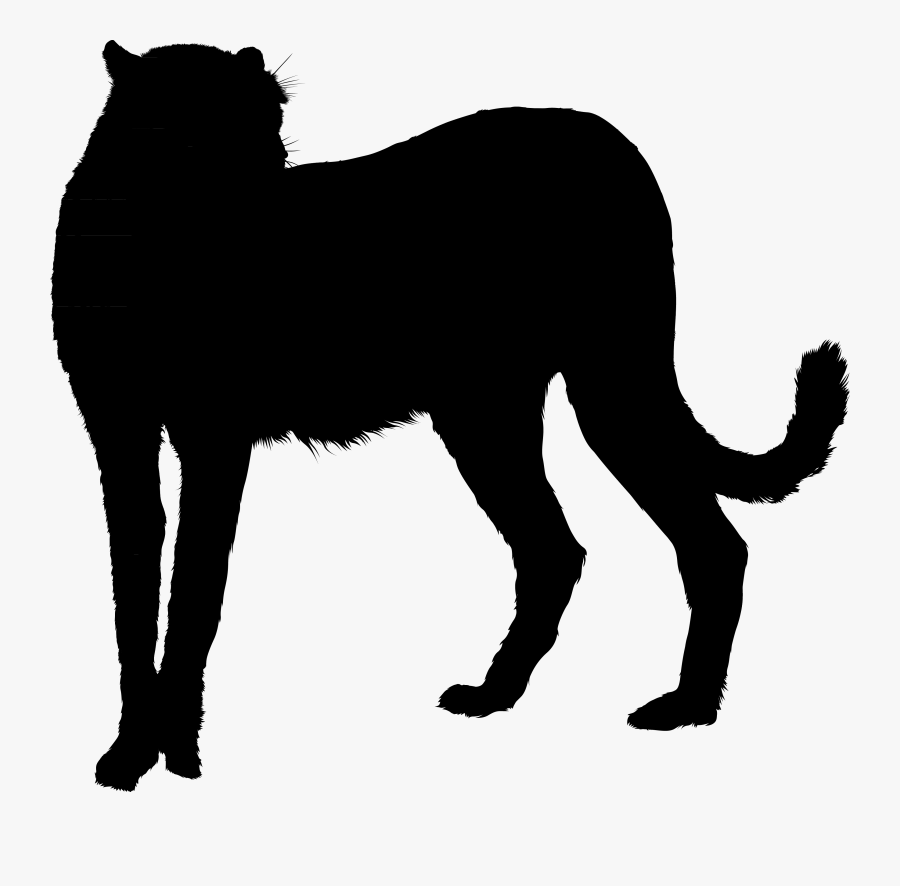 Whiskers Black Cat Black Panther Gif - Black Panther Gifs Transparent, Transparent Clipart