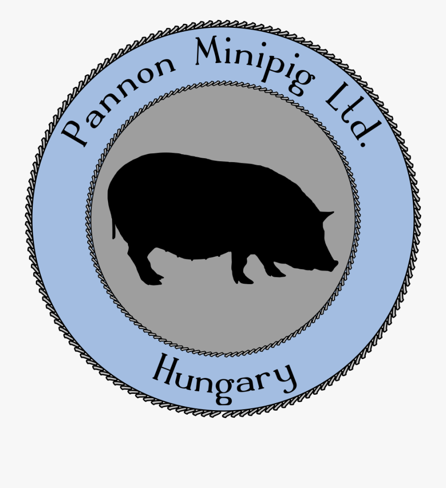 Necklace Clipart , Png Download - Domestic Pig, Transparent Clipart