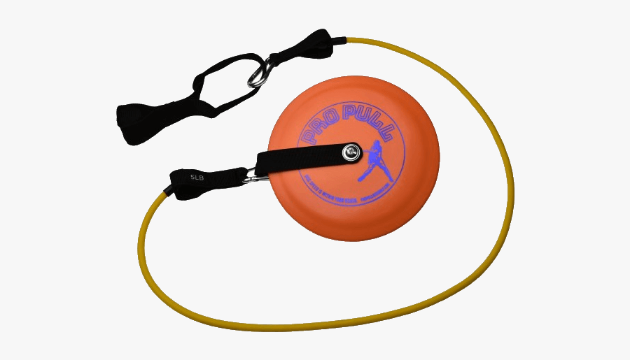 Circle, Transparent Clipart