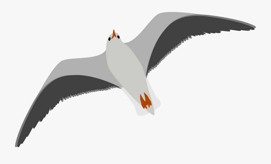 Seagull-left - Seagull Clip Art, Transparent Clipart
