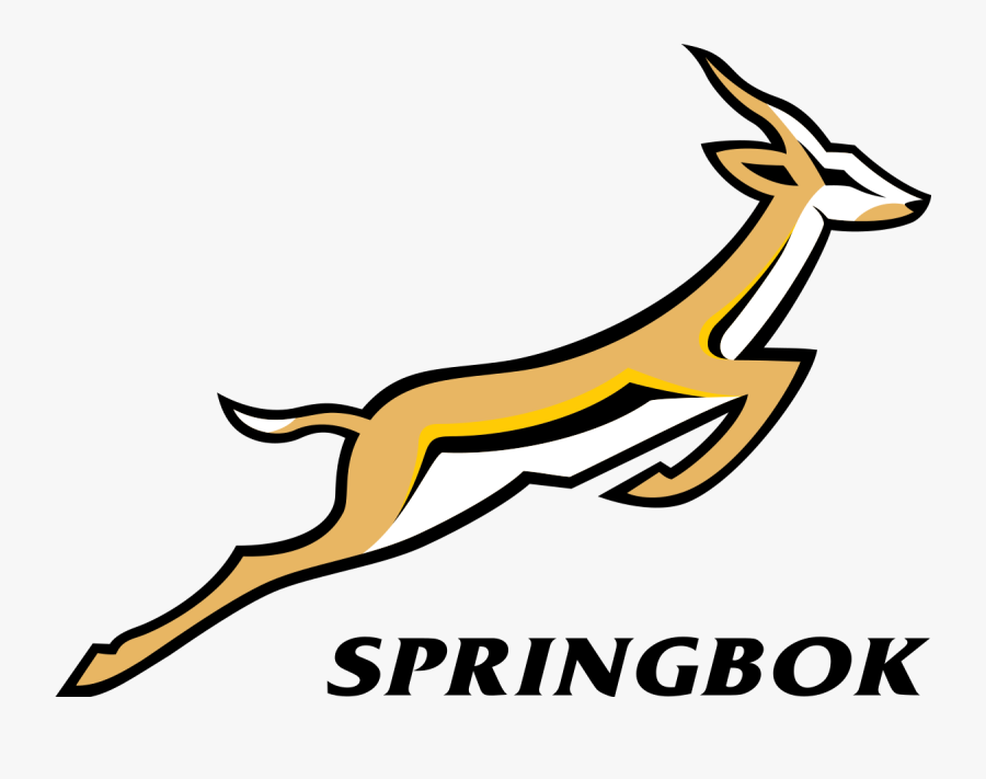 Match Drawing Rugby - South Africa Rugby Logo, Transparent Clipart