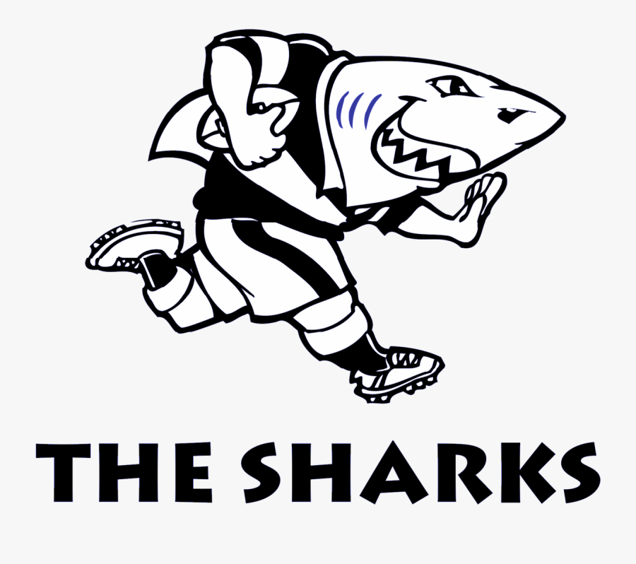 Sharks A Wikipedia - Sharks Rugby Logo, Transparent Clipart
