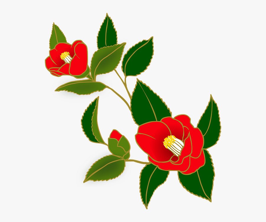 Transparent Japanese Flowers Png - Camellia Flower Japanese Art, Transparent Clipart