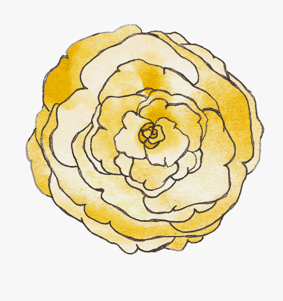 Transparent First Birthday Clipart - Japanese Camellia, Transparent Clipart