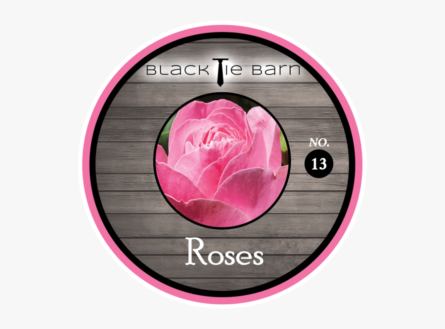 Fresh Cut Roses - Channel 10 Australia, Transparent Clipart