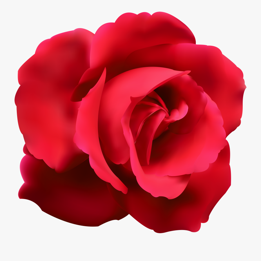 Rose Clip Art Png - Blue Flower No Background, Transparent Clipart