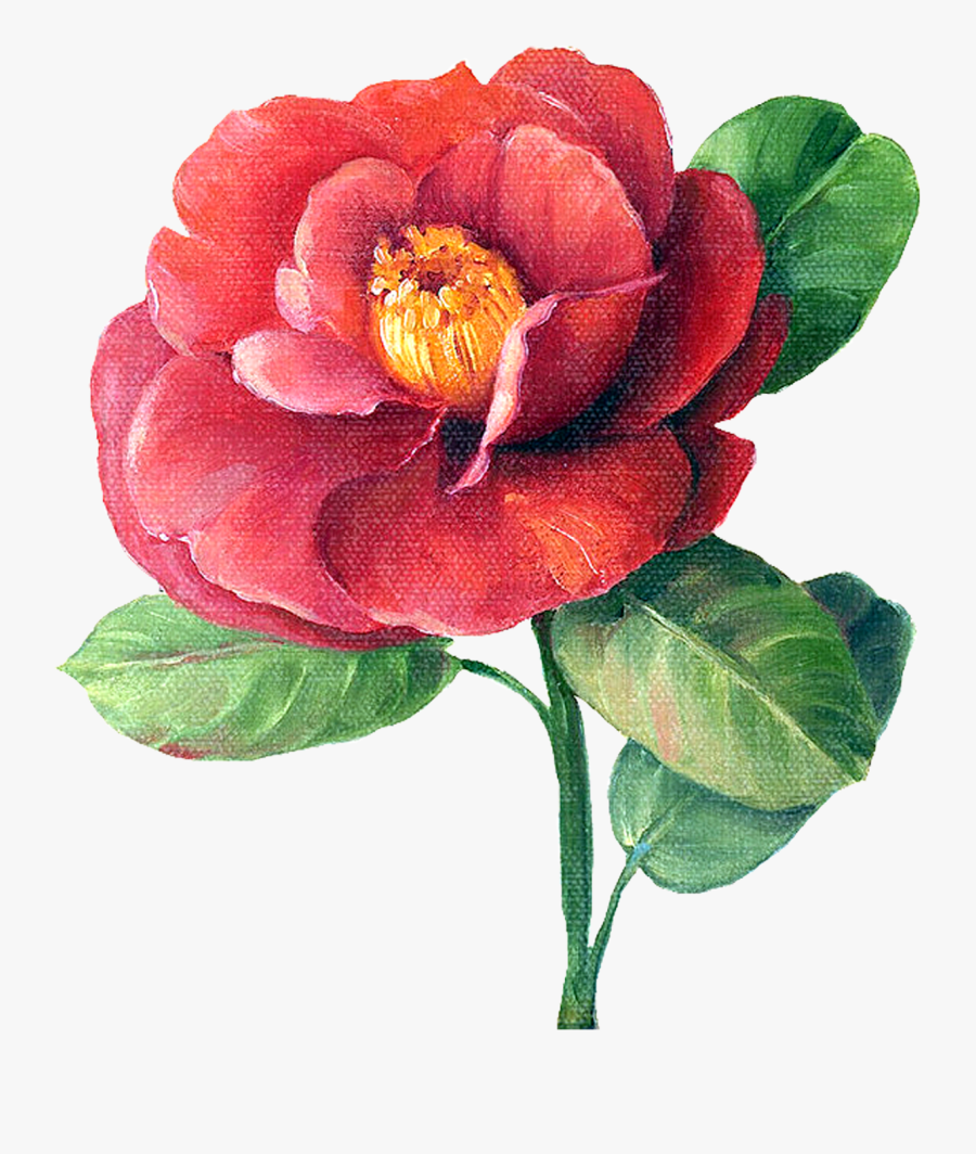 Painting, Transparent Clipart