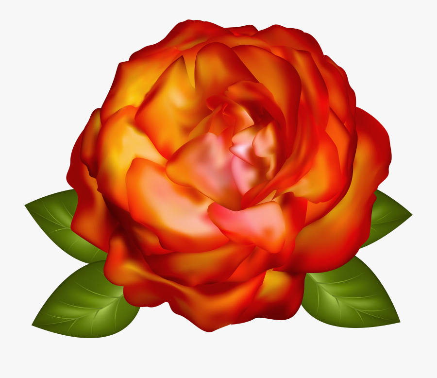 Clip Art Beautiful Pictures Of Roses - Orange Roses Transparent, Transparent Clipart