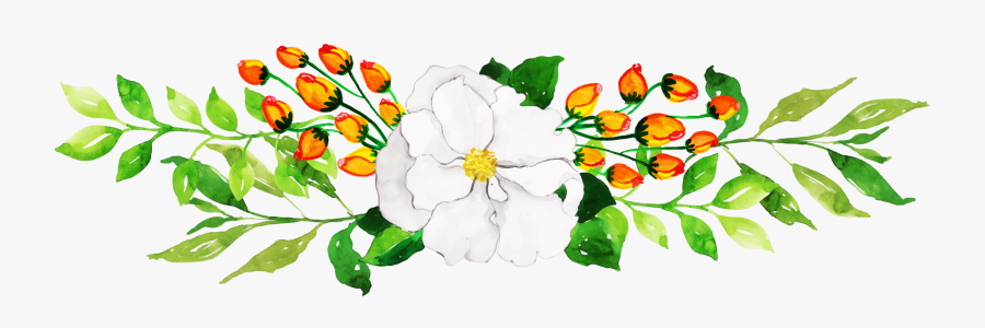 Camellia Sasanqua, Transparent Clipart