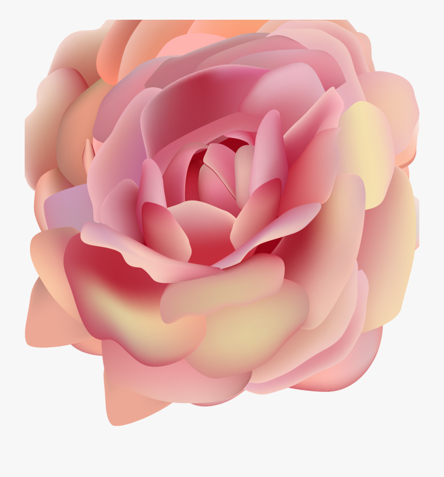 Japanese Camellia, Transparent Clipart