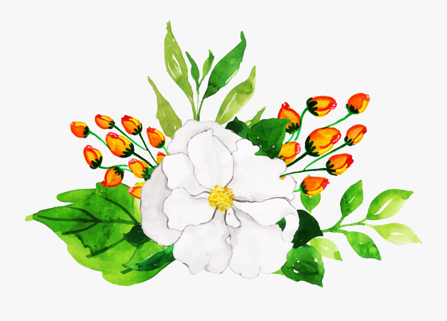 Camellia Sasanqua, Transparent Clipart