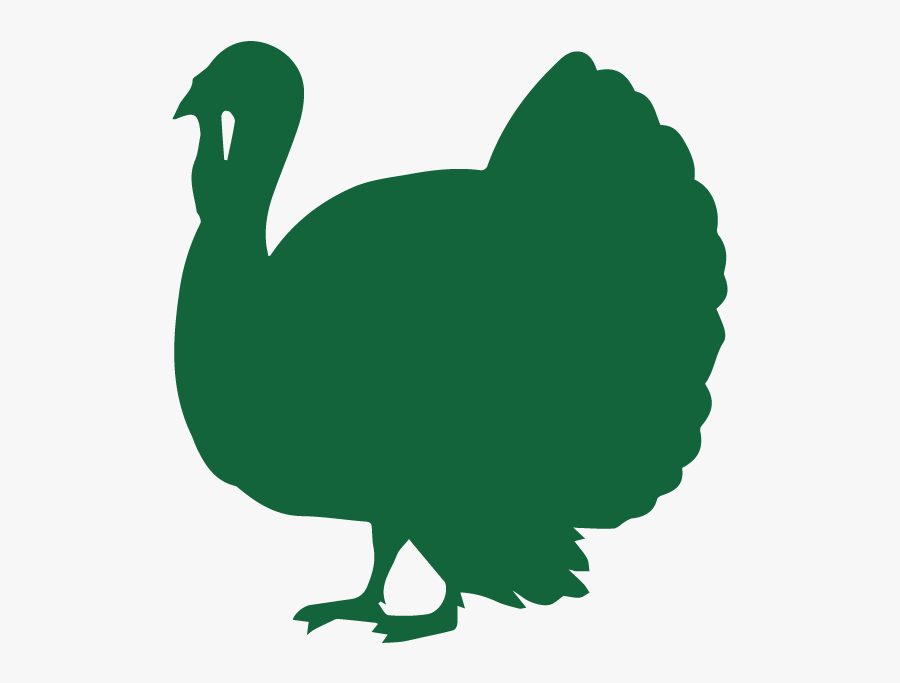 Transparent Turkey - Turkey Day, Transparent Clipart