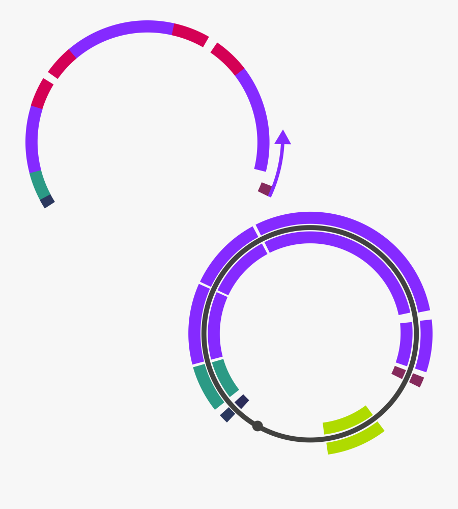 Gblock Assembly Taking Advantage Of Homologous Regions, Transparent Clipart