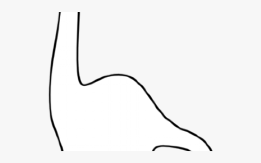 Monochrome, Transparent Clipart