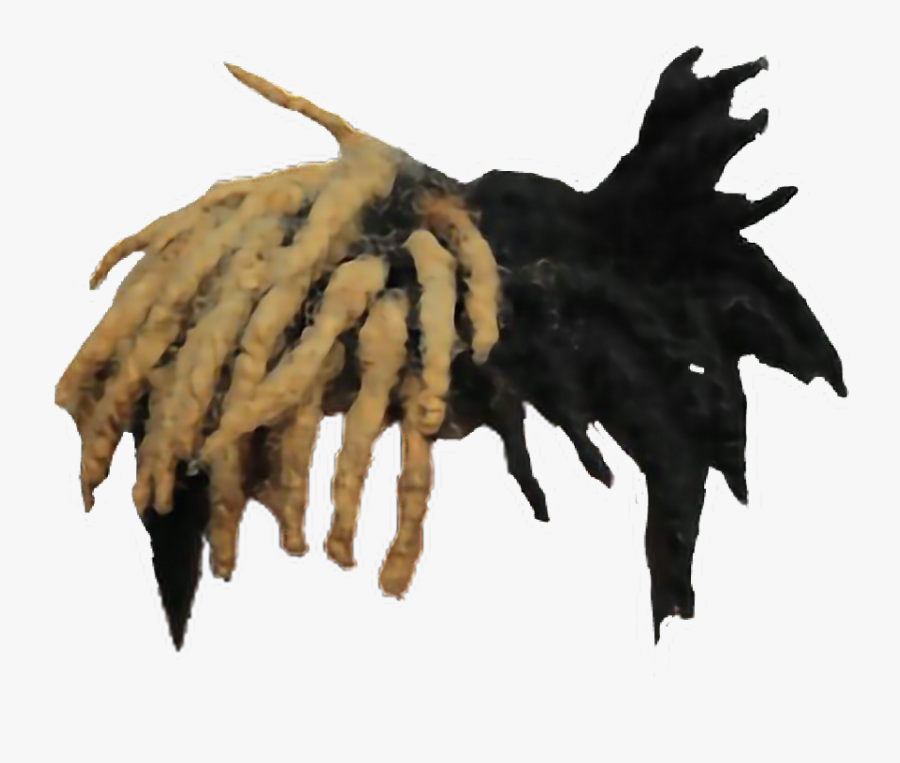 #freeedit #xxx #x #xxxtentacion #xxxtentacionrip #hair - Xxxtentacion Hair Transparent, Transparent Clipart