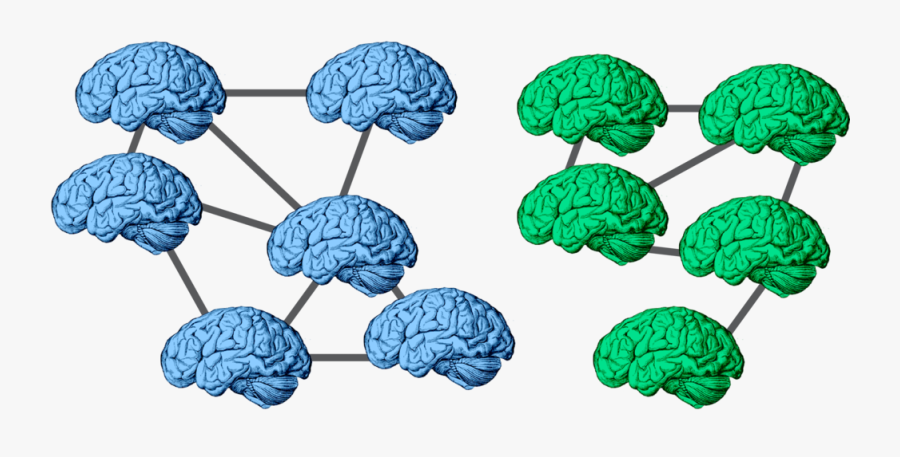 Csnl How Do We - Social Neuroscience, Transparent Clipart