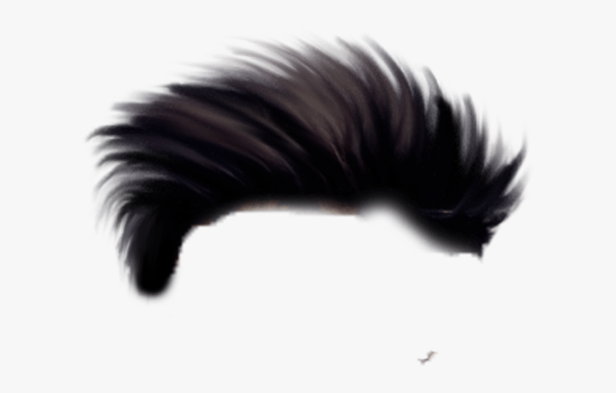 Transparent Holi Hai Png - Editing Hair Style Png, Transparent Clipart