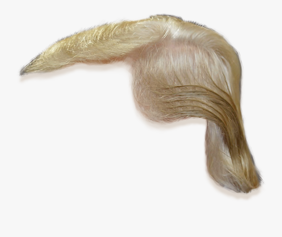Donald Trump Hair Png, Transparent Clipart