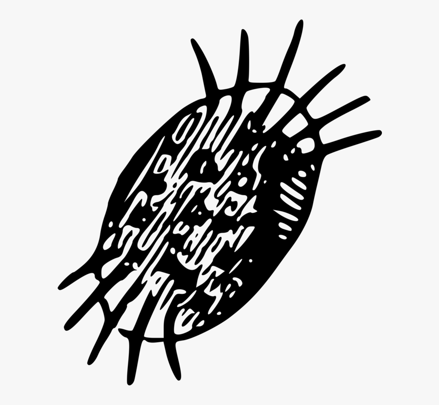 Window Clipart Public Domain - Illustration, Transparent Clipart