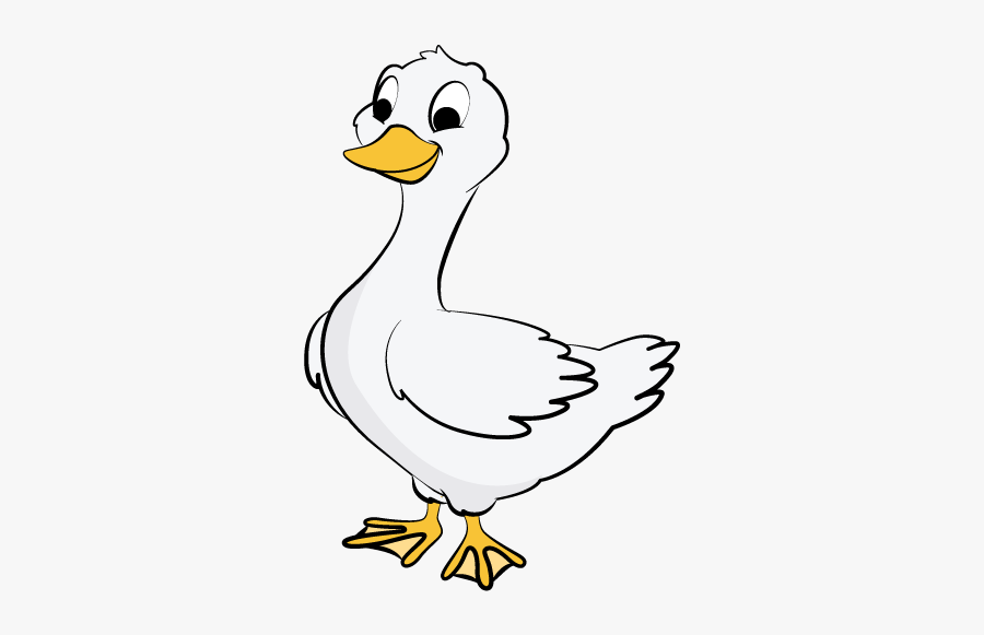 Duck, Transparent Clipart