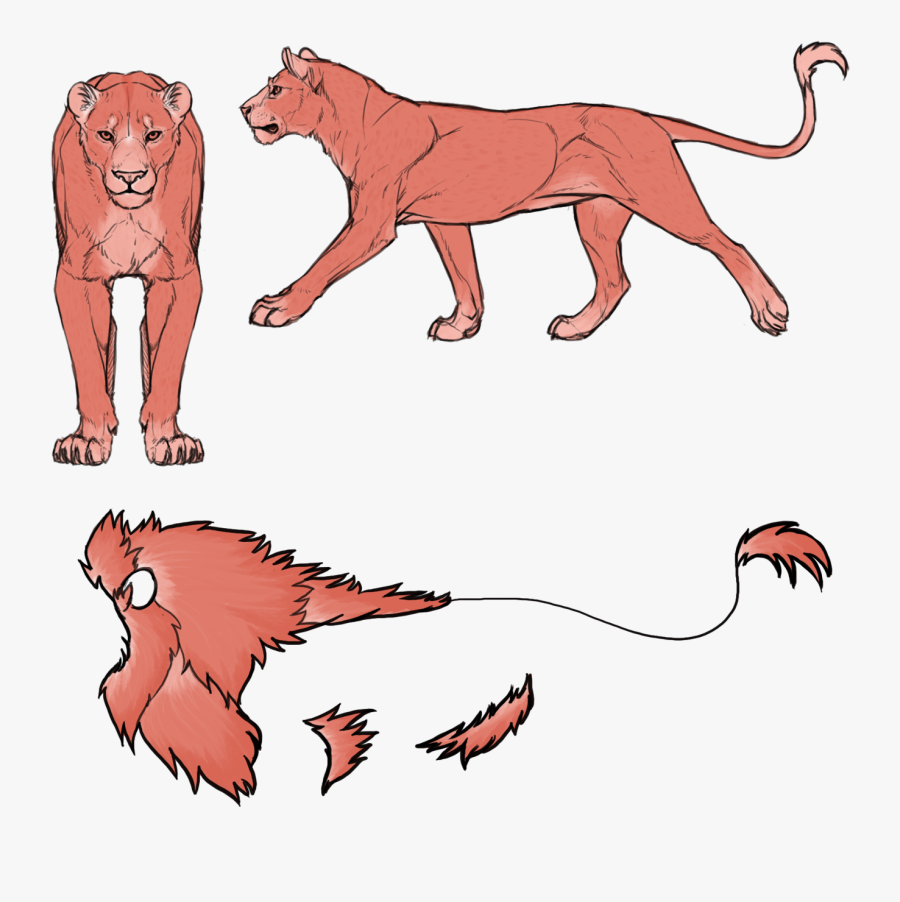 Lioden Lineart, Transparent Clipart