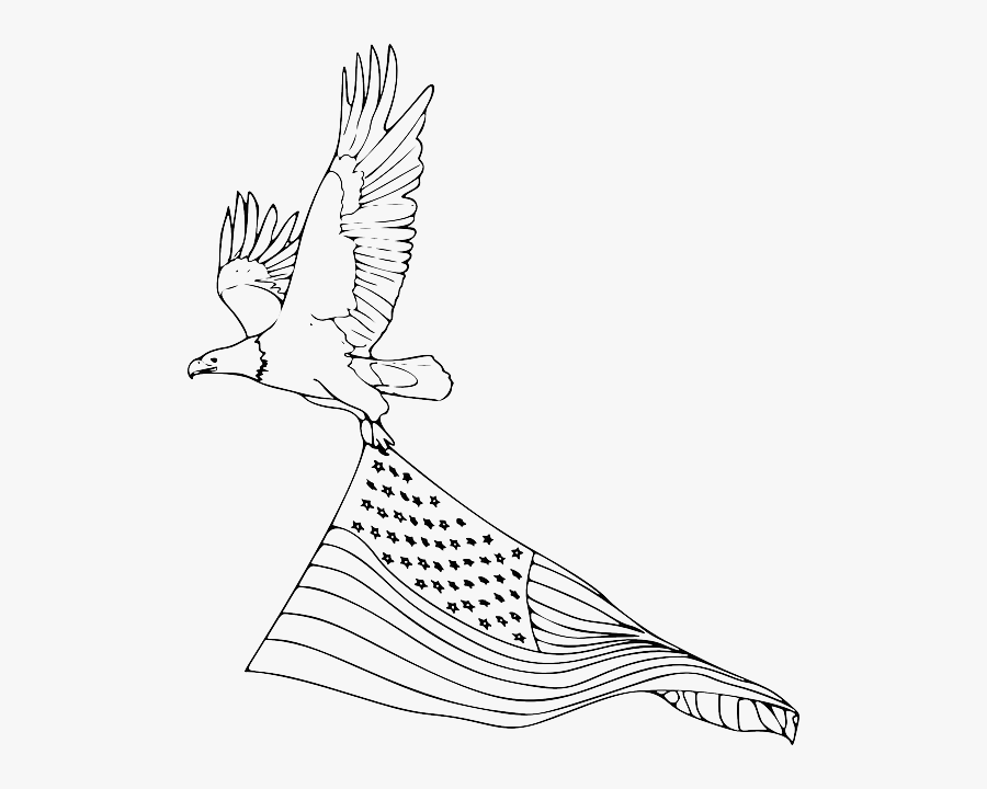 At Getdrawings Com Free For Personal Use - Easy Drawing Of A Bald Eagle, Transparent Clipart