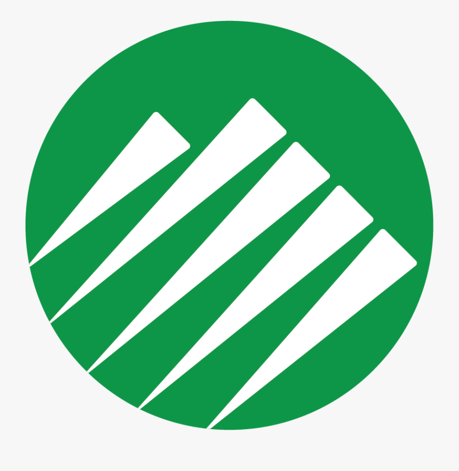 Steps For Developing Website, Transparent Clipart