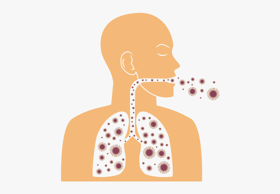 Clip Art Blackboard Mayo - Illustration, Transparent Clipart