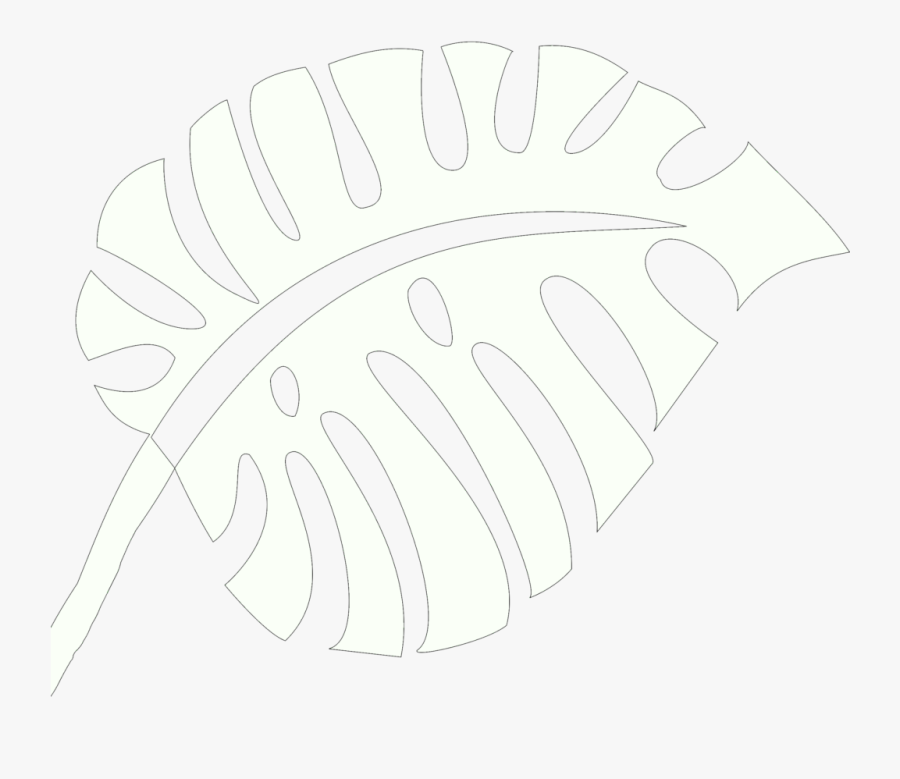 Circle, Transparent Clipart