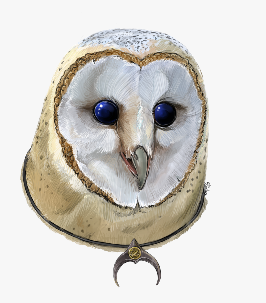 Barn Owl, Transparent Clipart