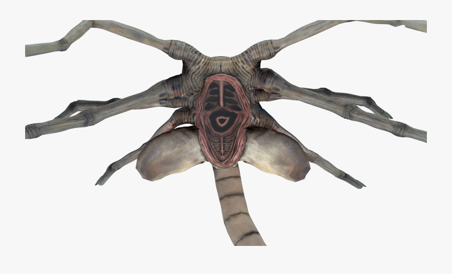 Transparent Facehugger Png - Facehugger Transparent, Transparent Clipart