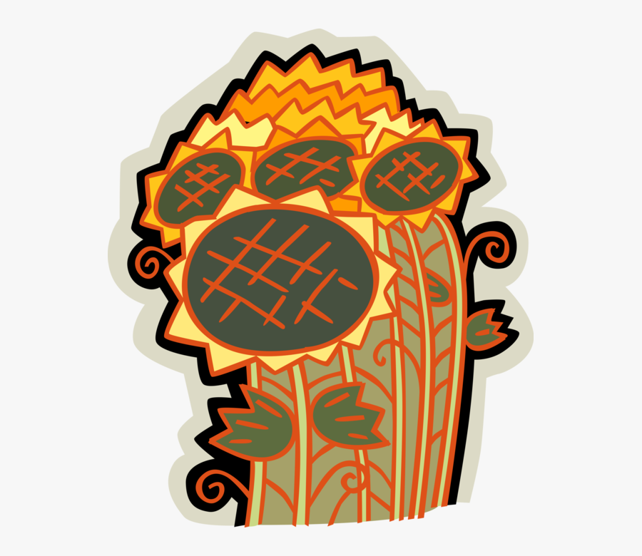 Vector Illustration Of Sunflower Flowers Growing In - Illustration, Transparent Clipart