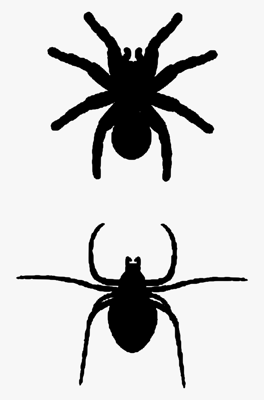 Vector Insects Black And White - Insects Silhouette, Transparent Clipart